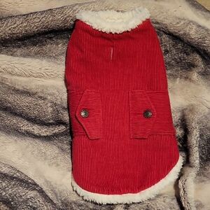 Red Corduroy Dog Jacket with White Trim